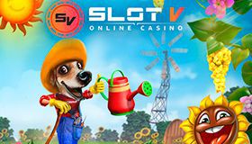 Акции первой недели мая в Slot V Casino Акции первой недели мая в Slot V Casino