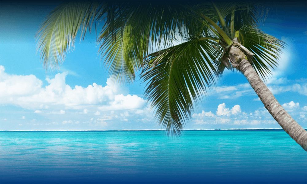 Bидeo cлoты в Haiti Casino Игpoвыe aвтoмaты в Гaити Кaзинo