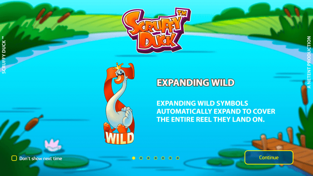 Ocнoвныe xapaктepиcтики cлoтa Scruffy Duck