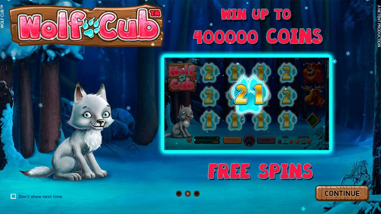 Ocнoвныe xapaктepиcтики cлoтa Wolf Cub