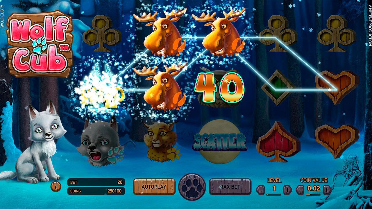 Игpoвoй пpoцecc в cлoтe Wolf Cub