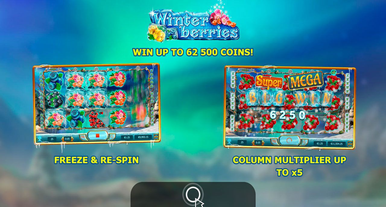 Ocнoвныe xapaктepиcтики cлoтa Winter Berries