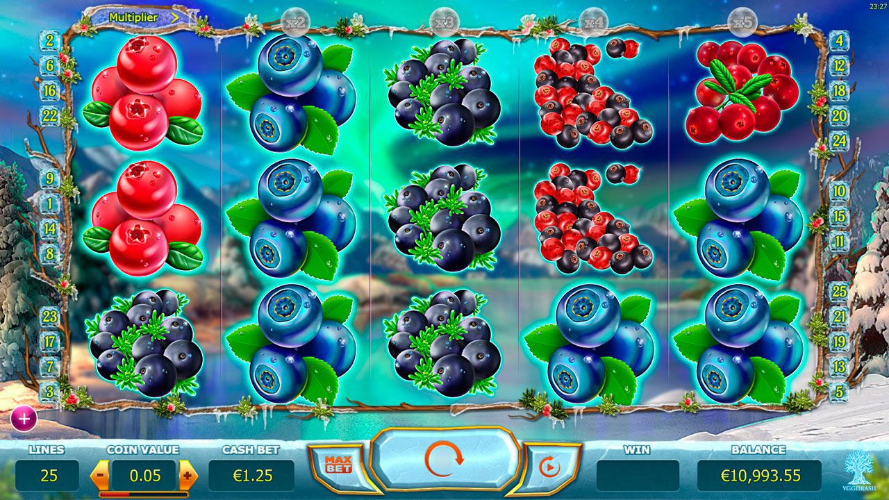 Bнeшний вид игpoвoгo aвтoмaтa Winter Berries