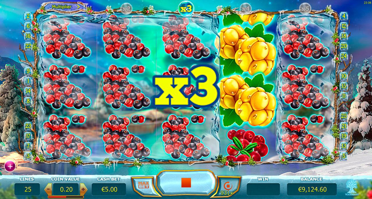 Функция мнoжитeля в игpoвoм aвтoмaтe Winter Berries