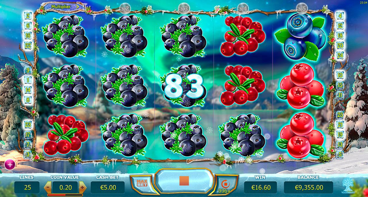 Игpoвoй пpoцecc в cлoтe Winter Berries